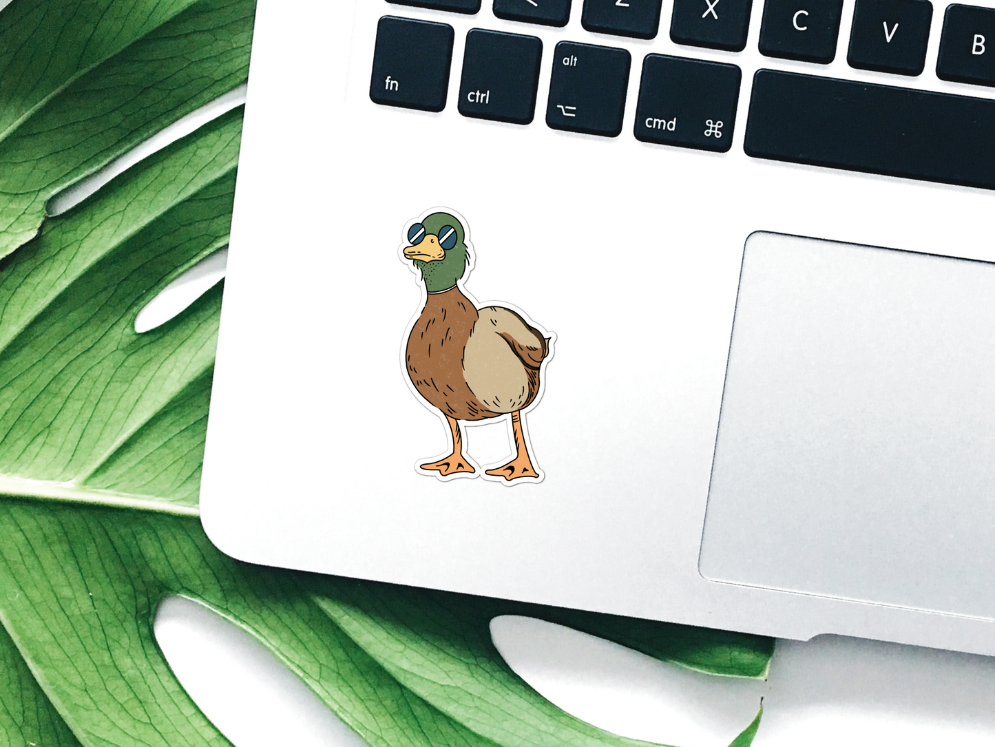 Cool Duck (Mallard) Waterproof Vinyl Sticker