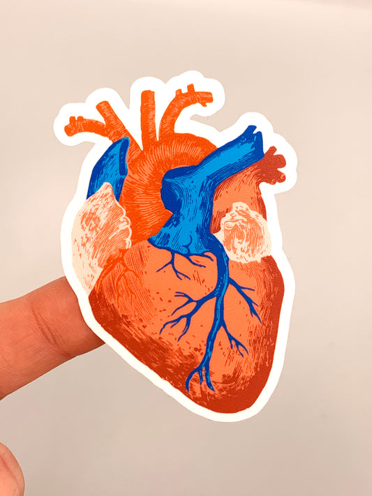 Anatomical Heart Waterproof Vinyl Sticker